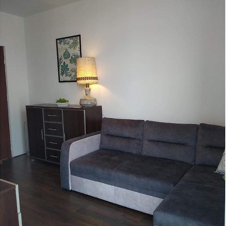 Sunny Penthouse With Roof Gardens Overlooking The Warsaw Palace Of Culture Pruszkow Luaran gambar