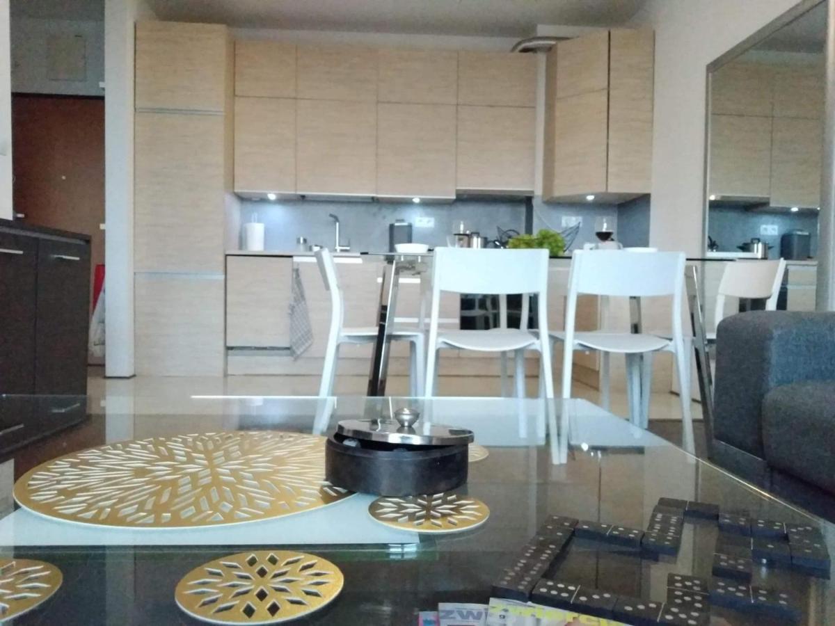 Sunny Penthouse With Roof Gardens Overlooking The Warsaw Palace Of Culture Pruszkow Luaran gambar
